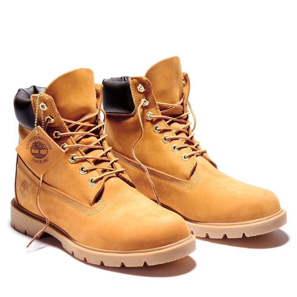 Botas de Nieve Timberland Hombre 6-Inch Basic Waterproof W/Padded Collar Marrones - Chile FSJ-762903